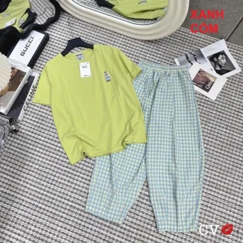 Sét bộ nữ áo cotton khô 3158 mix quần kẻ baggy_Gấu nhỏ